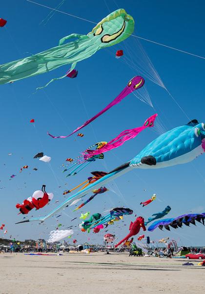 Festival di aquiloni colorati sulla spiaggia con cielo blu.