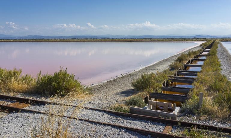 Paesaggio di saline con acqua rosa e binari ferroviari.